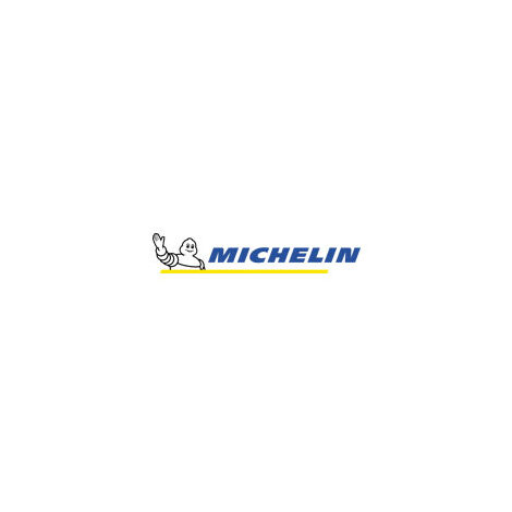 logo_michelin